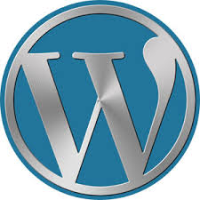 wordpress初心者にも安心、自動バックアップ機能が充実しているレンタルサーバー