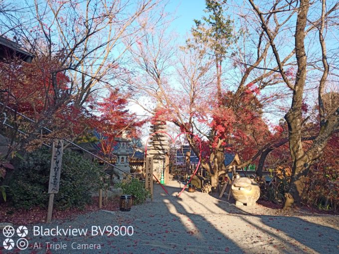 BV9800 48MP 撮影サンプル