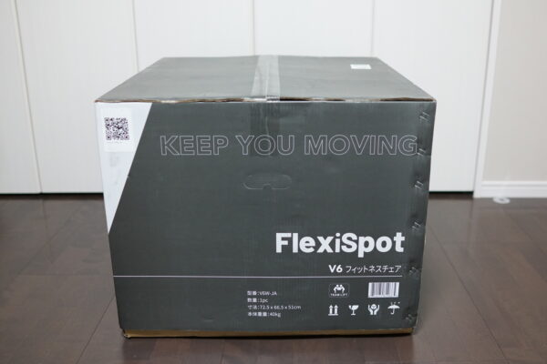 FLEXISPOT フィットネスバイク V6